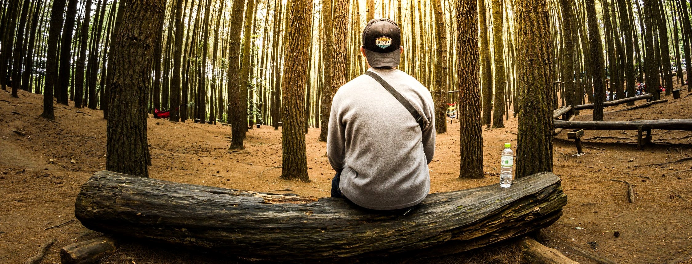 man sitting on log in the forest